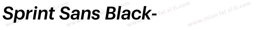 Sprint Sans Black字体转换